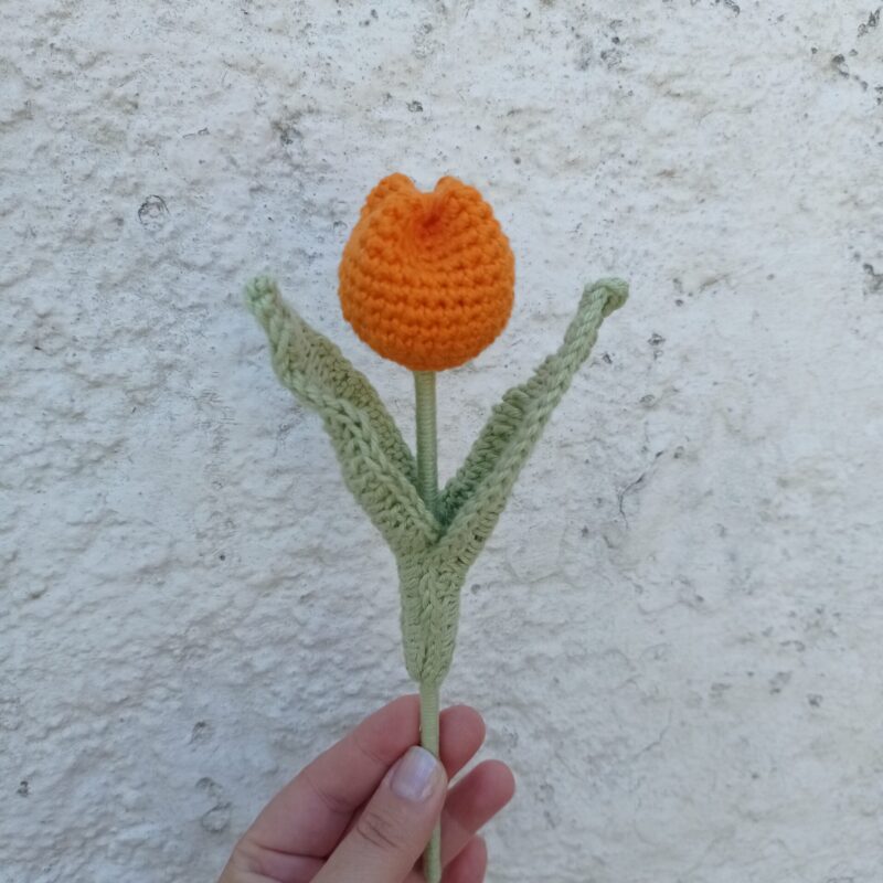 Flor tulipa laranja