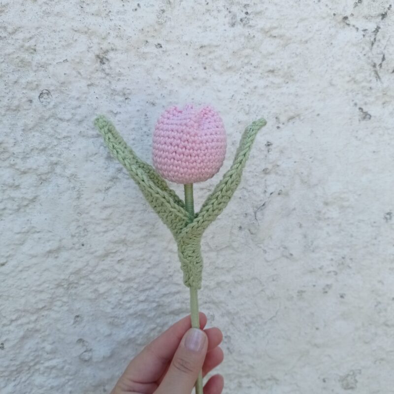 Flor tulipa rosa